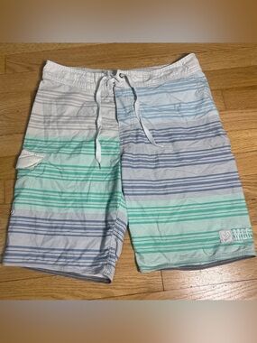 Micros Men’s Striped drawstring Swim/Board Shorts in White, Light Blue, Mint